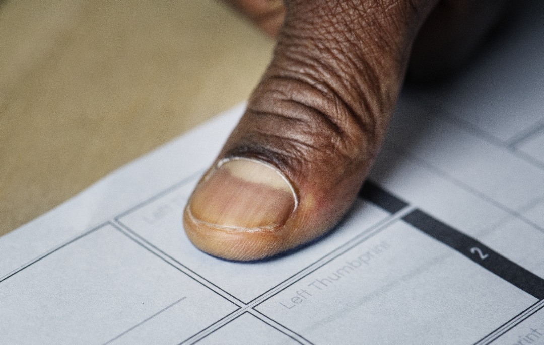 TREP manipulation allegations raise concerns over the Honduran election process
