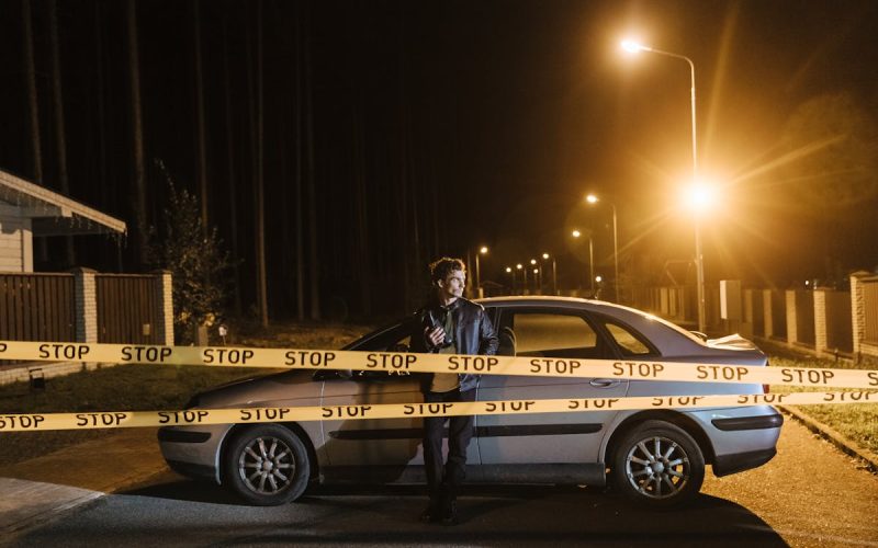 All about the Hammer Killer case